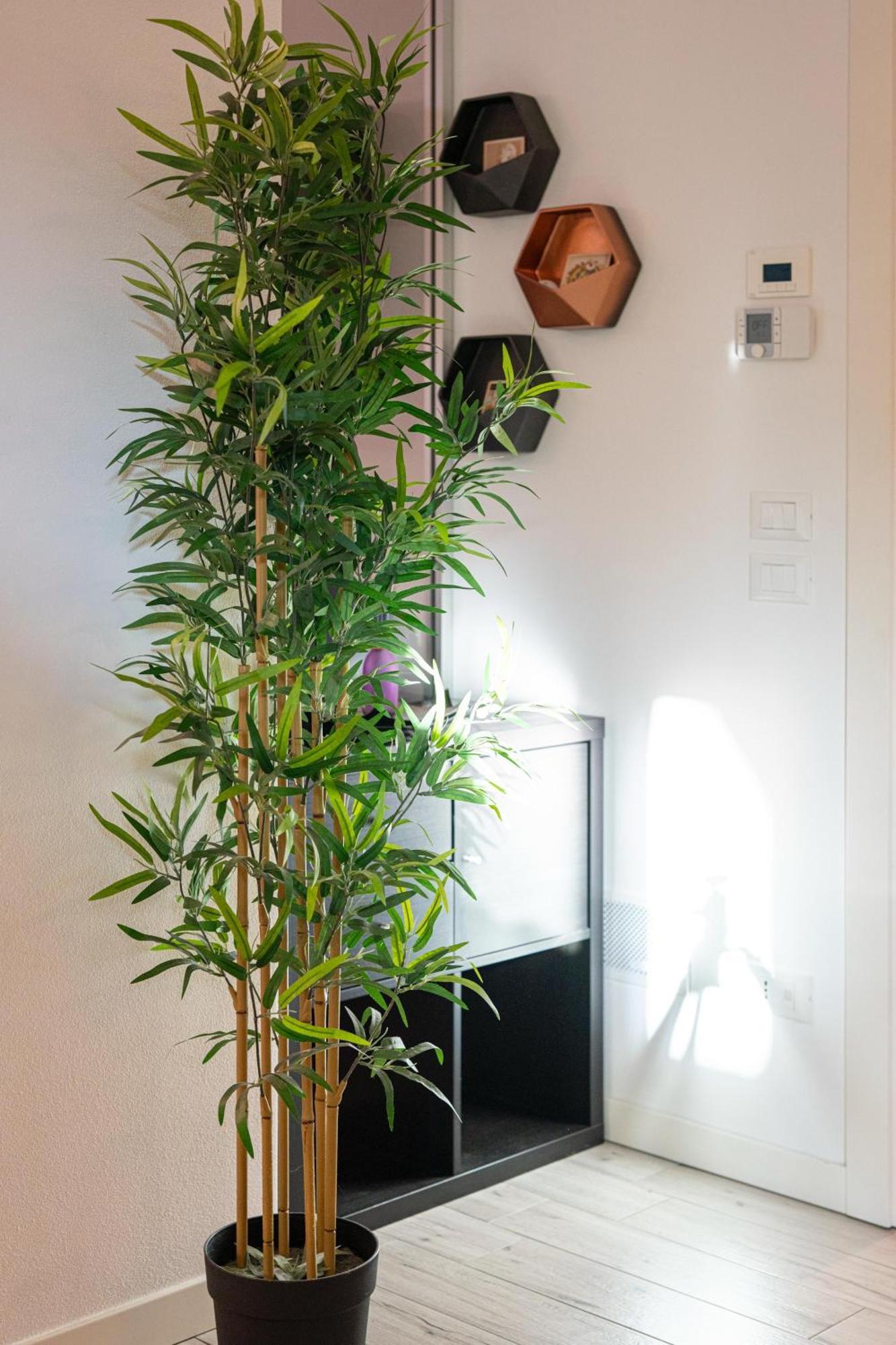 Vera Home Savignano sul Rubicone Bagian luar foto